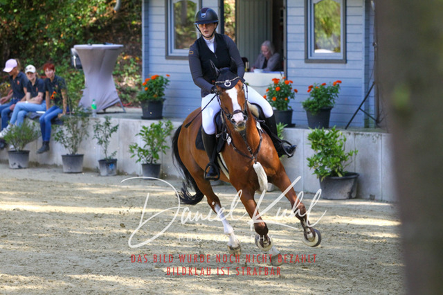 DKP42336 | Turniersportfotografie; Pferdefotografie; Dressurfotografie