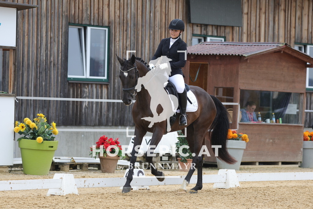 0P6A0605 | Willkommen bei Brunnmayr - Design & Fotografie – Ihrem Spezialisten für Reitturniere und Pferdeveranstaltungen in Oberösterreich, Salzburg und Bayern! Seit über 17 Jahren sind wir leidenschaftlich dabei.