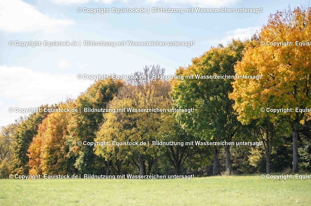 20251011_Jagd-Marbach_0272 | Foto: Thomas Hartig