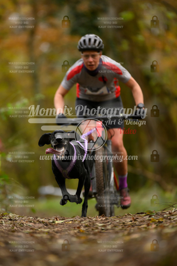 MompixPhotography_Bischwiller24_SA_VTT-22 | PayLife