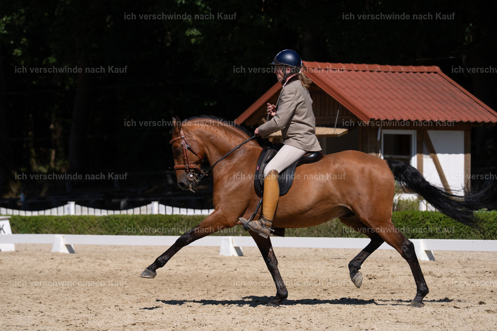 WS_DR_62_sinafilmart_IN04050 | working equitationturnier fotograf videograf stoibphotography marixx film working equitation deutschland reitsport turnierfotografie eventfotografie equestrian events