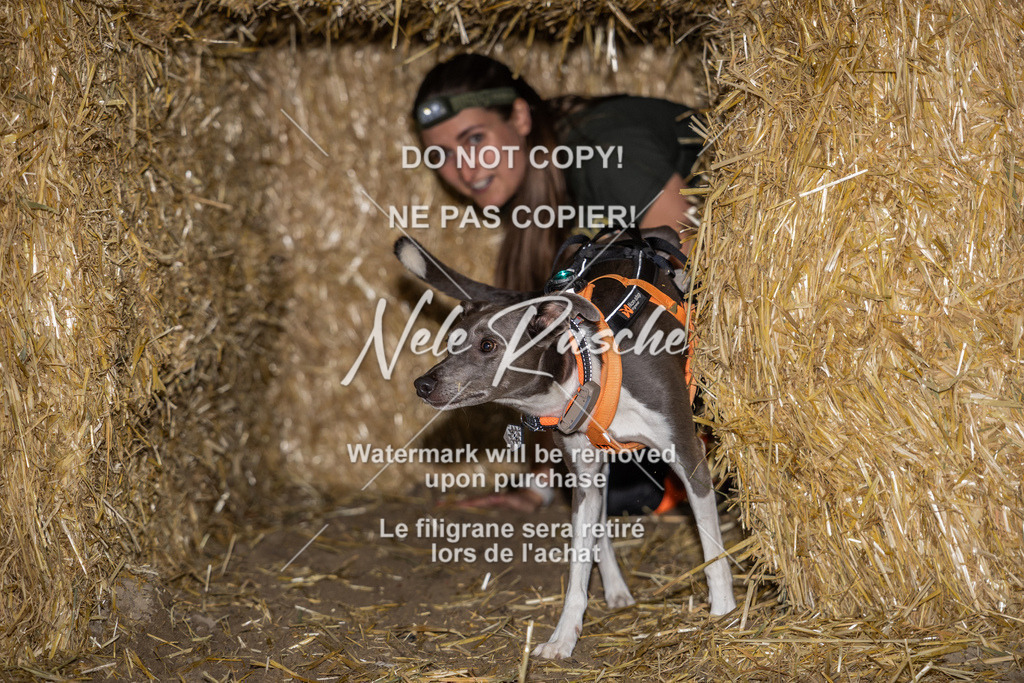 nelerasche_FrNacht_310 | nelerasche