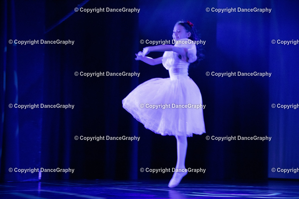 GPHY2563 | DanceGraphy - Realisiert mit Pictrs.com