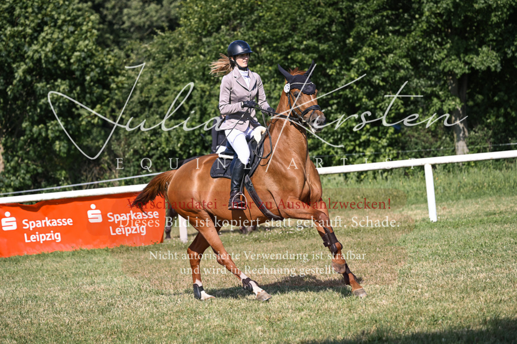 DSC_1293 | Pferde- und Turnierfotografie in Westsachsen. Pferdeportraits, Auftragszeichnungen und intuitive Kunst.