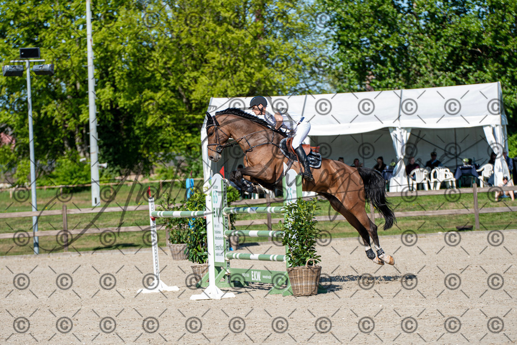 KPT_1649 | andre_photographic