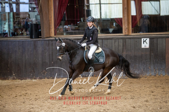 IMG_1810 | Turniersportfotografie; Pferdefotografie; Dressurfotografie