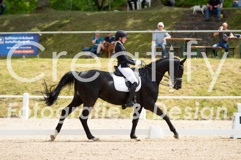 IMG_6628 | Creatify Fotografie