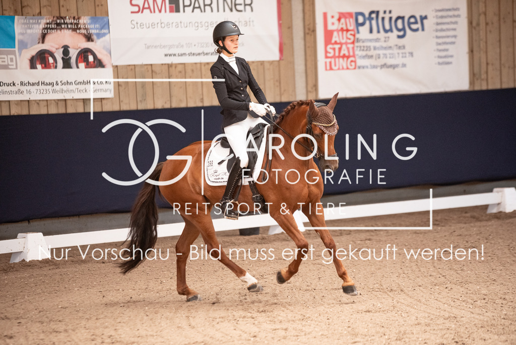 DSC_3310 | Carolin Gieschke