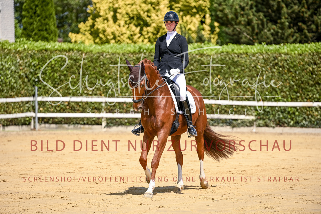 Schugtsche-Aluta25-49.Dressurpferdeprf.A-85 | Schugtsche Fotografie - Realisiert mit Pictrs.com