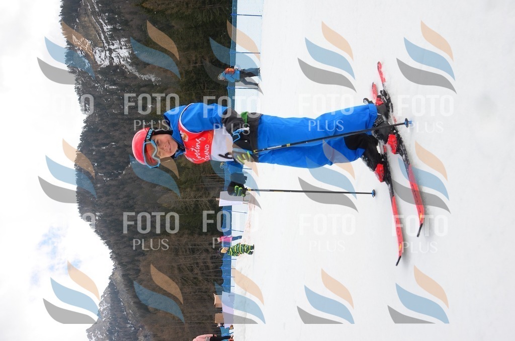 C1223 | holidayphoto