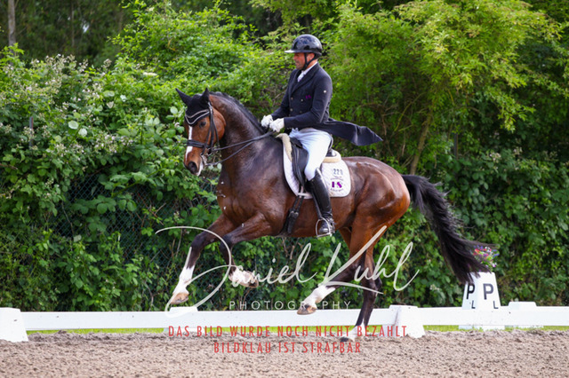 DKP41776 | Turnierfotos kaufen im Webshop von Daniel Kuhl Photography – entdecke professionelle Reitsportfotos aus Turnieren & Events. Hochwertige Turnierbilder online bestellen & sichern. Jetzt Fotos von Reitsportturnieren kaufen!