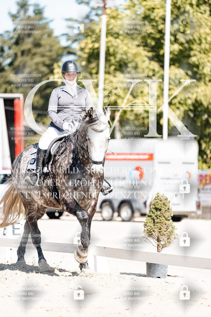 CK909062 | Turnierfotografie Pferdefotografie Trier Rheinland-Pfalz Pferdesport Reitsport Tierfotografie Sportfotografie Pferdevideo Pferdevideografie Equestrianvideography equestrianphotography  - Realisiert mit Pictrs.com