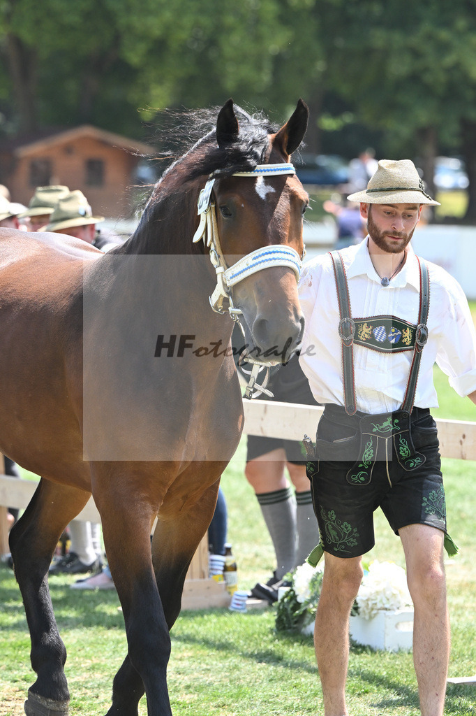 Kat-Nr. 64 Penelope_Birkholz_20231040 | hf-fotografie - Realisiert mit Pictrs.com