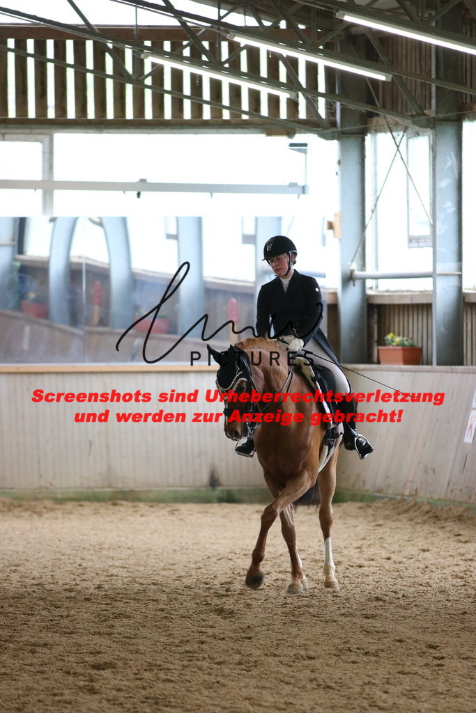 IMG_1323 | lmwpictures - Realisiert mit Pictrs.com