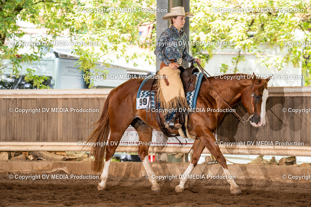 Erbach Tag 1-700 | dv-media-shop - Realisiert mit Pictrs.com