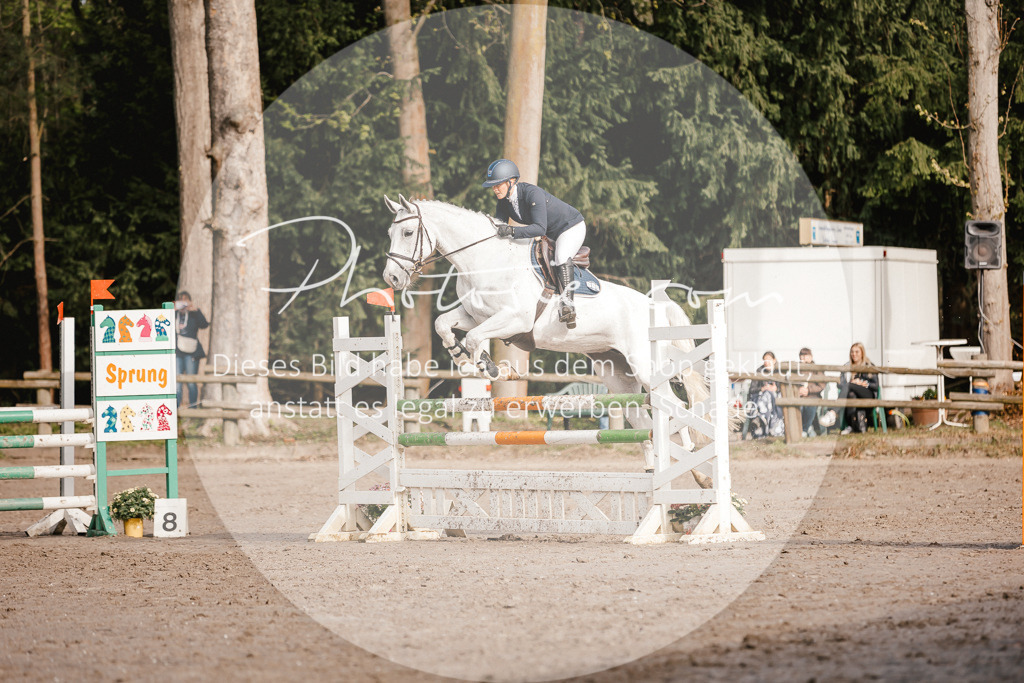 3I6A3454 | Stimmungsvolle Portraits und Reitsportfotografie im Ruhrgebiet und im Münsterland.

Pferdefotografie, Hundefotografie, Tierfotografie, Reportagen, Portraits von Tier und Mensch, Turnierfotografie in Bochum, Recklinghausen, Marl, Haltern am See, Dülmen.. - Realisiert mit Pictrs.com