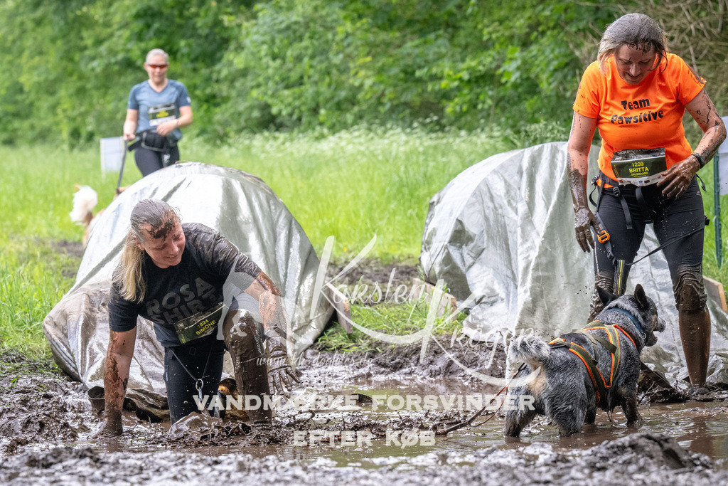 1253_ZZ94082 | kk-dogfotos