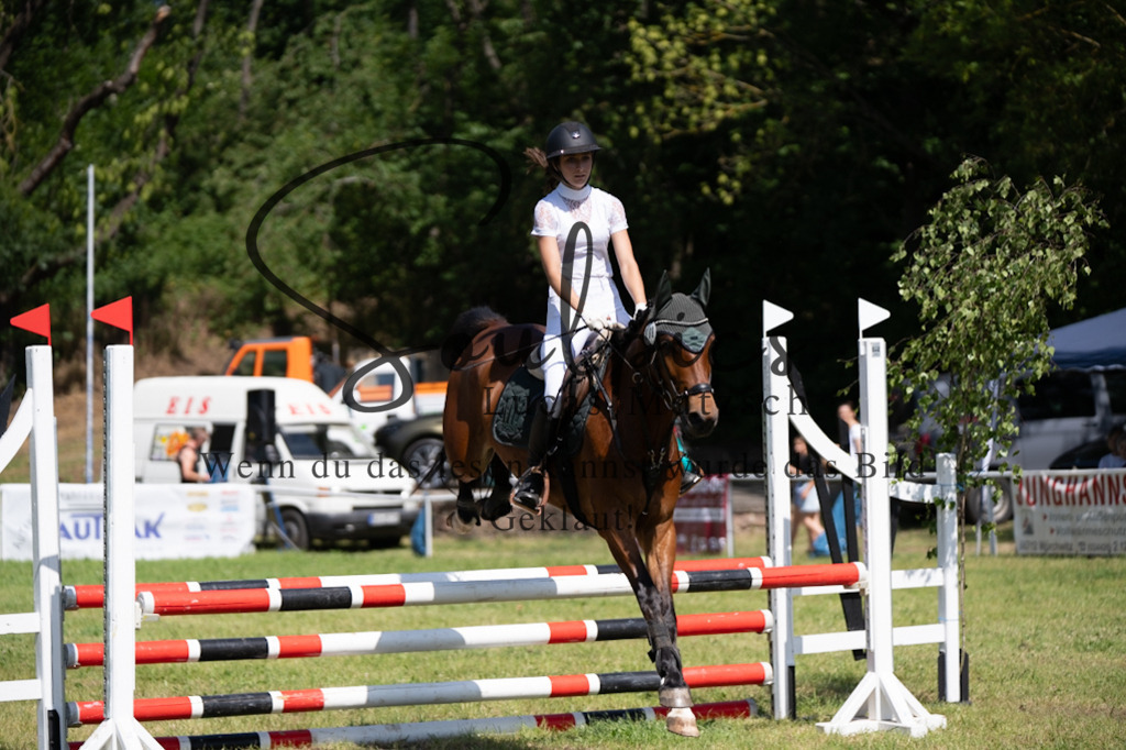 A7V05725 | Pferdefotograf