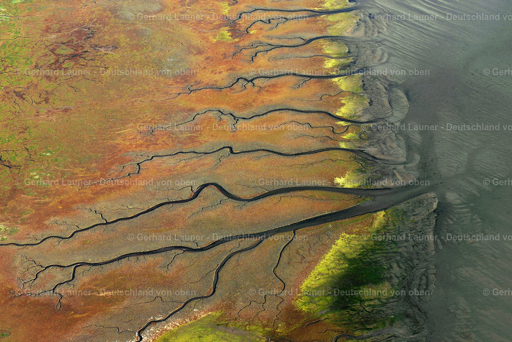 7001015 | Priele bei Spiekeroog, Wattstrukturen Nationalpark Niedersächsisches Wattenmeer