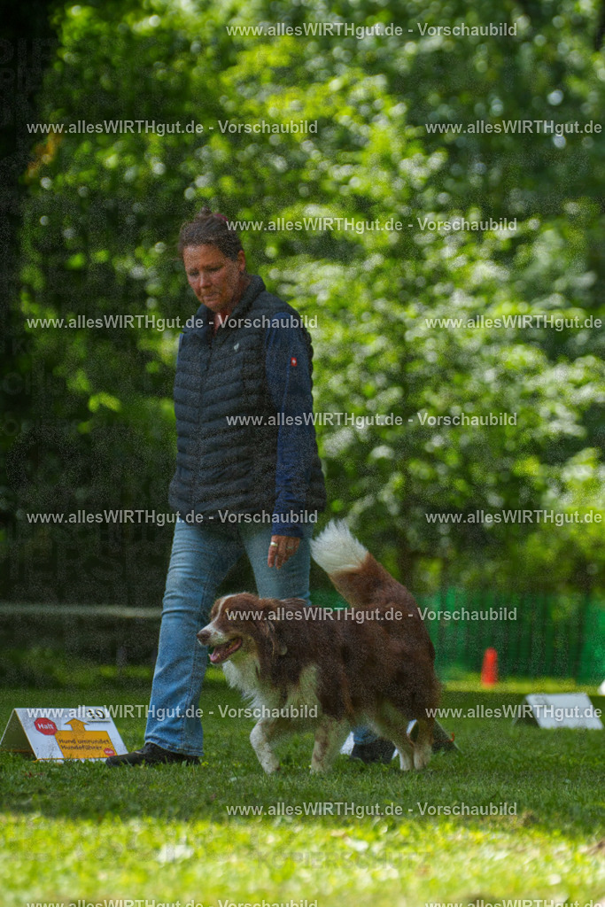 @allesWIRTHgut_Tierfotografie - www.allesWIRTHgut.de - 7R505395 | Professionelle Tierfotografie in Mönchengladbach von Daniel Wirth (allesWIRTHgut). Liebevolle & natürliche Bilder von Hunden & Katzen für unvergessliche Erinnerungen.