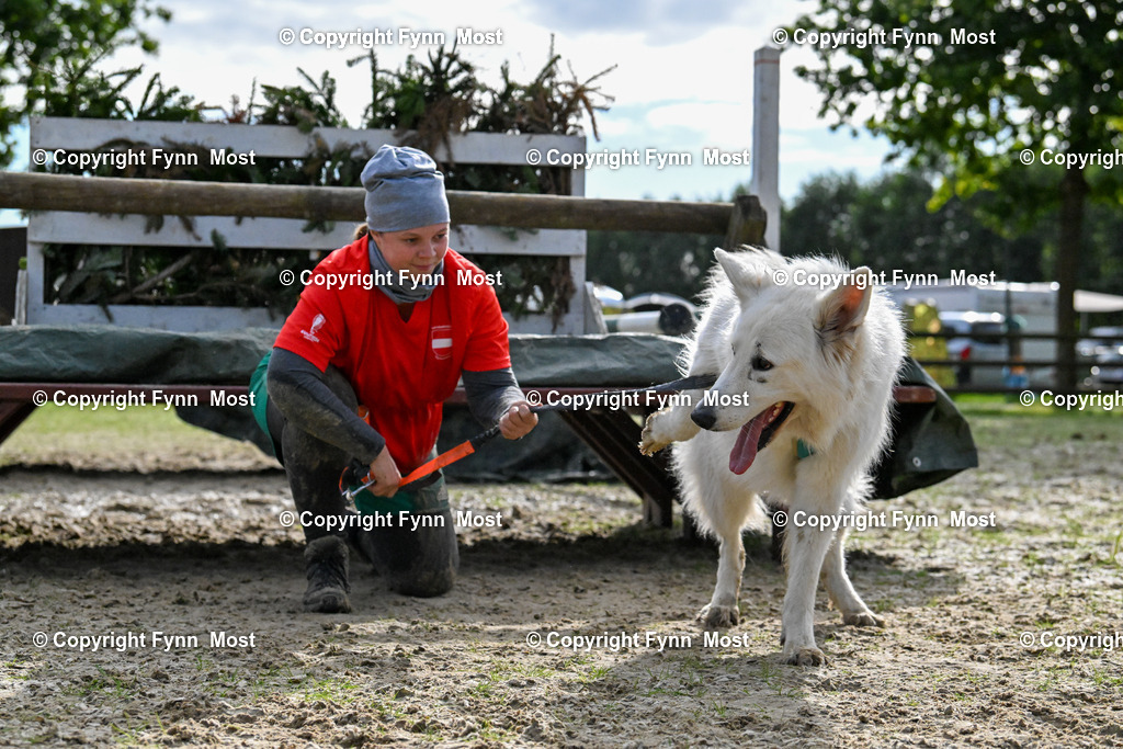 DSC_6286 | Hallo und herzlich Willkommen auf meiner Shop-Seite Fynn Most.

Ich wünsche Dir viel Spaß beim stöbern durch die Bilder, wenn Du Fragen hast oder Bilder vermisst, kannst du mir gerne eine Nachricht schreiben. - Realisiert mit Pictrs.com