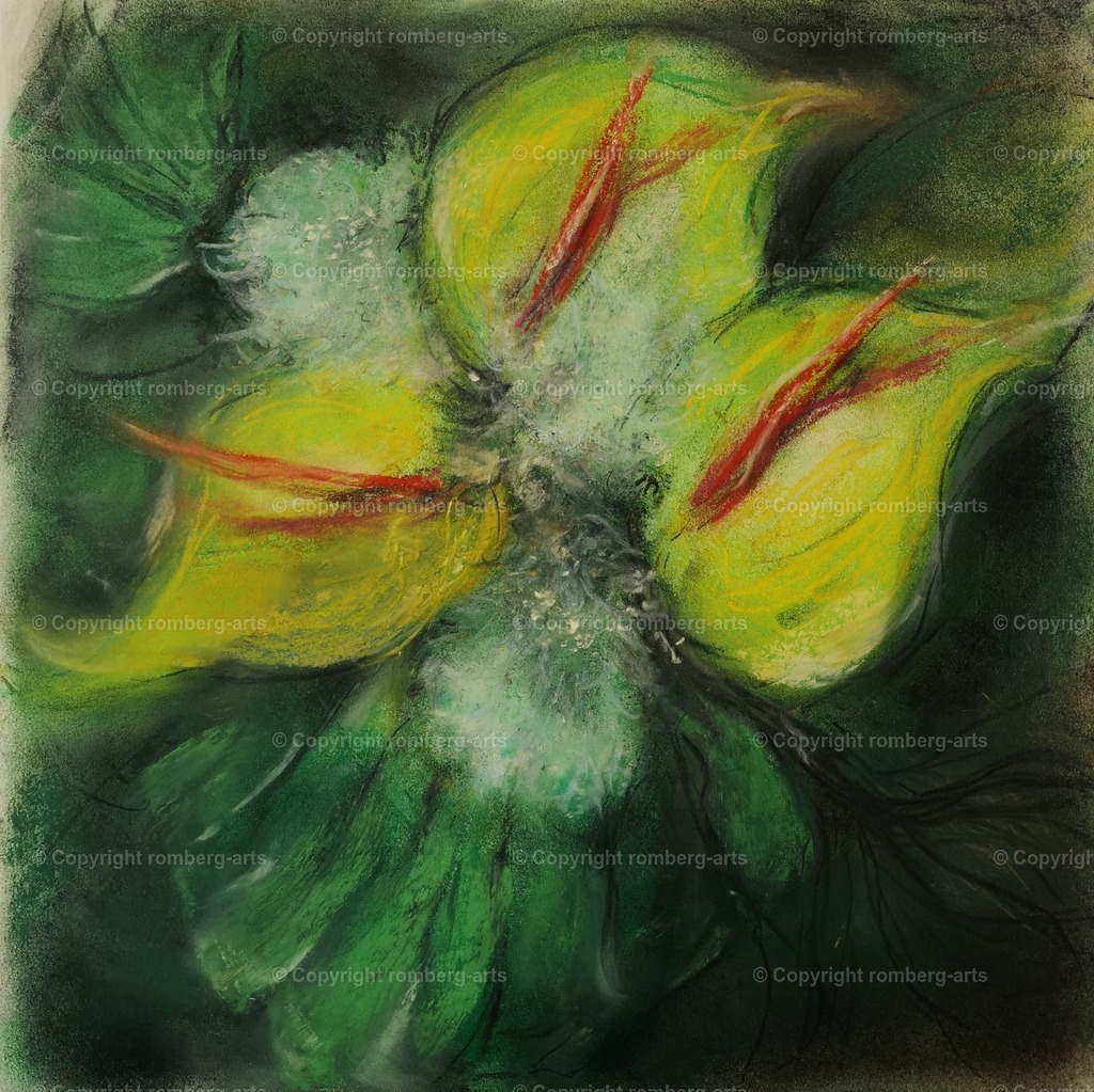 L1020084 (2) | romberg-arts, romberg-arts.de, www.romberg-arts.de, Foto_Online_Shop, Julia Fuhrmann, Köln, Fotos, Fotografie, Fotokunst, Kunstdrucke, Naturfotos, Aktfotos, Nacktfotos, schwarz_weiß_Fotos, Blumenfotos, Blumen, Tiere, Beton, Korrosion, Lächeln, Drucke