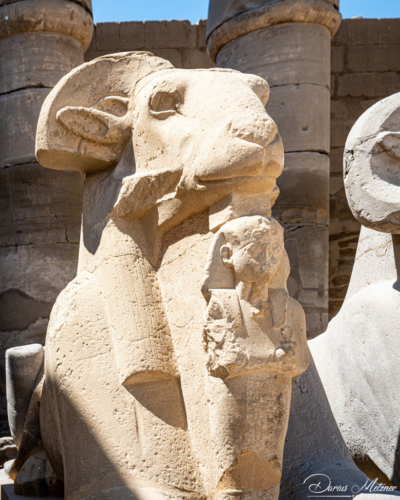 Bilder aus Luxor | Bilder aus Luxor