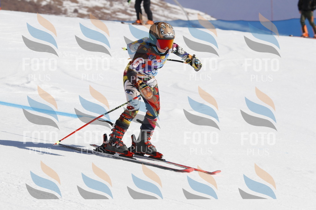 _U3G9138 | holidayphoto