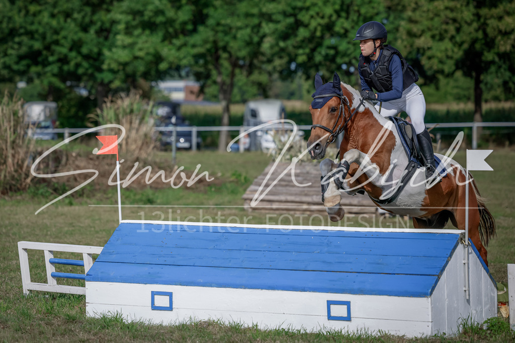 20250907-_3LI9228 | Tierfotografie Pferde, Hunde, Katzen, Haustiere.
Turnierfotografie Reitturniere, Reiten, Springreiten, Dressur in Hanau, dem Main-Kinzig-Kreis und dem Rhein-Main- Gebiet um Frankfurt