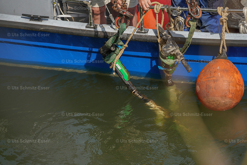 Shared-Mobility_Aktion_Koeln_01 | CEUS Design - Realisiert mit Pictrs.com