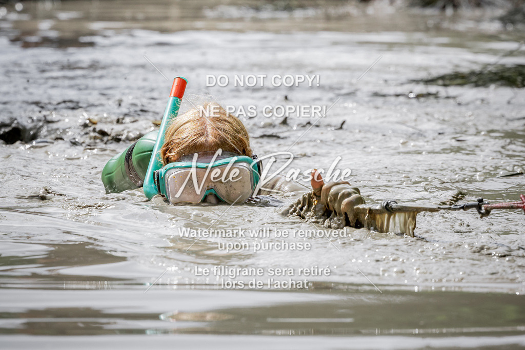 nelerasche_so1100-1145_136 | nelerasche
