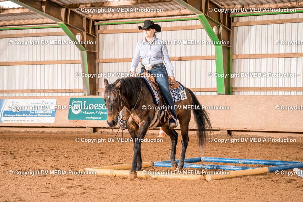 BAL00622 | dv-media-shop - Realisiert mit Pictrs.com