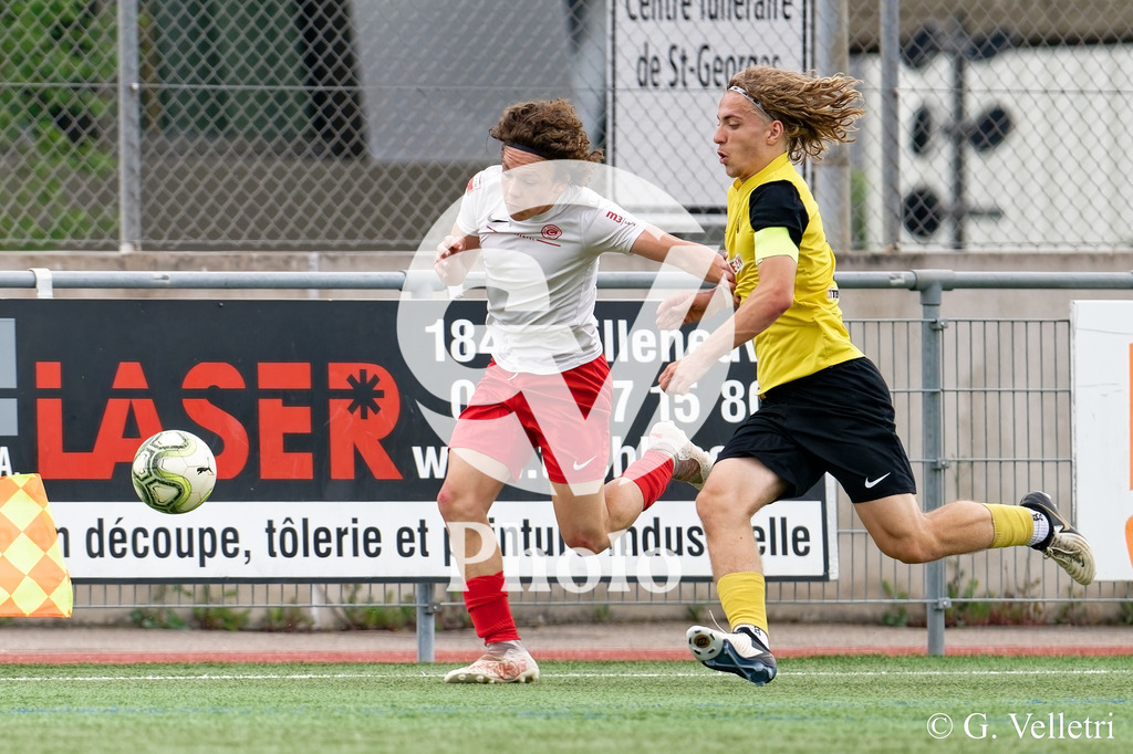 DSC_6739 | Velletri Photo