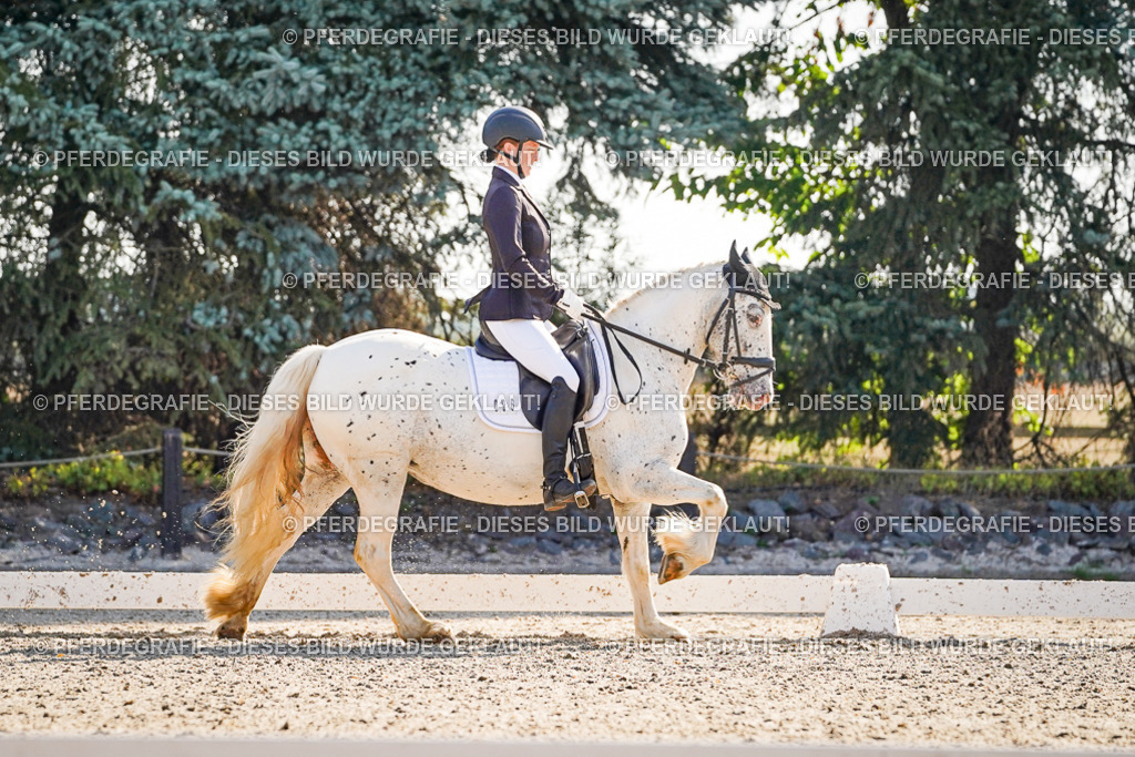 DSC09422 | Pferdegrafie