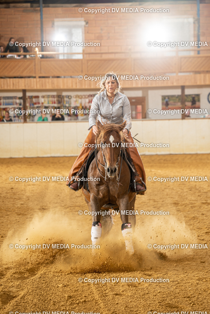 MIT01019 | dv-media-shop - Realisiert mit Pictrs.com