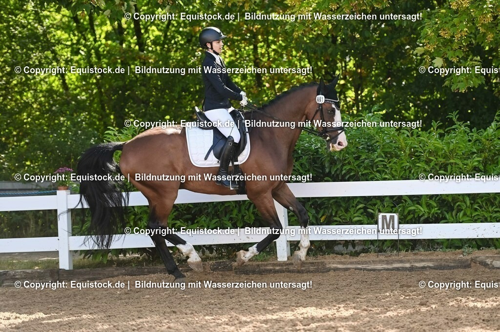 20230716_04_Dressurreiterprüfung Kl.A_0150 | equistock
