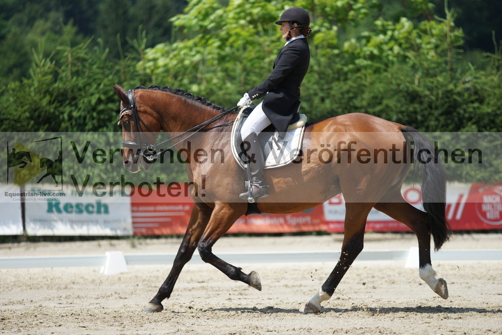 DSC05233 | equestrian-live-com