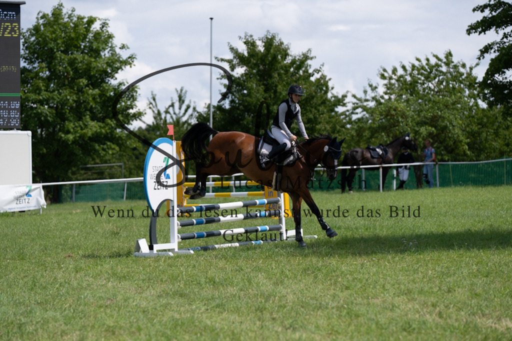 A7V04367 | Pferdefotograf