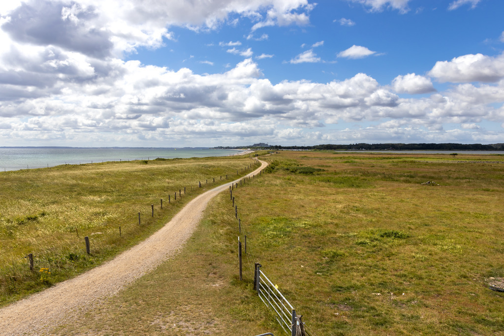 Wandbild: Spazierweg am Meer nach Damp | Ein malerischer Küstenwanderweg mit Weitblick – dieses Wandbild zeigt einen idyllischen Pfad direkt am Meer, aufgenommen von einem leicht erhöhten Aussichtspunkt. Die sanften Kurven des Weges führen durch die Landschaft, während das ruhige Wasser und der blaue Himmel mit seinen hellen Wolken eine offene und entspannte Atmosphäre schaffen. Ein perfektes Motiv für Ihr Zuhause, das Weite, Naturverbundenheit und maritime Schönheit vermittelt. - Realisiert mit Pictrs.com
