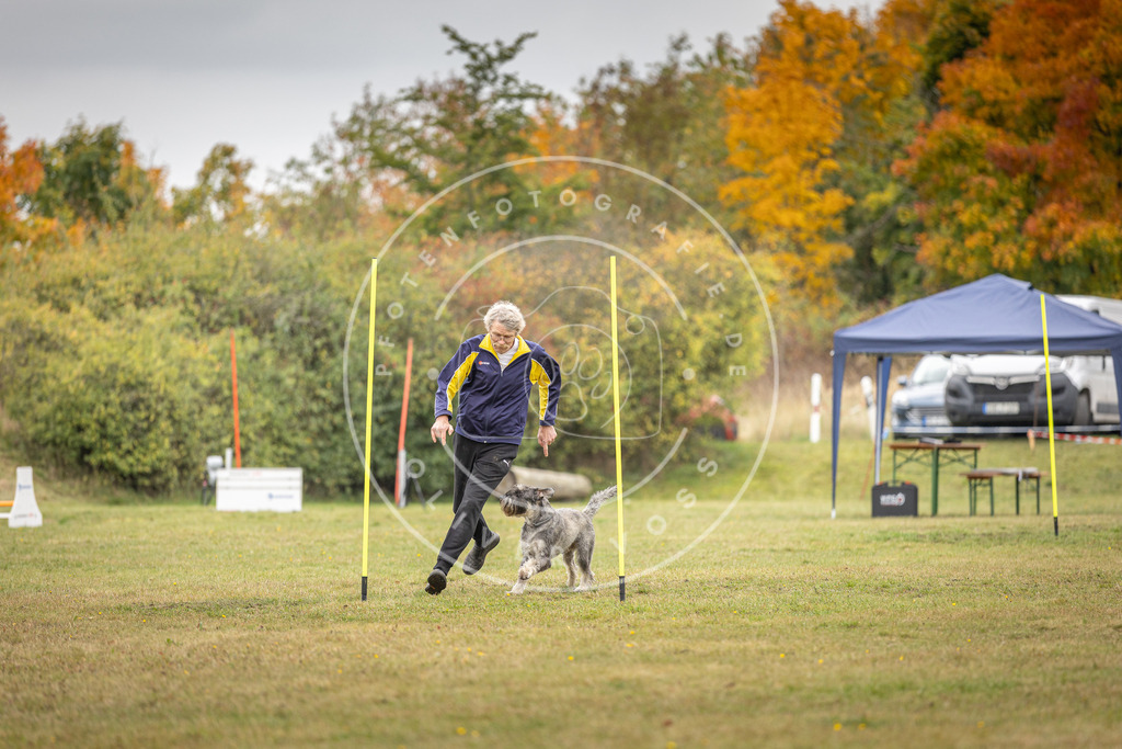 Pfotenfotografie_DV3A5312 | Hundefotografie, Tierfotograf, Pfotenfotografie, Fotoshooting Hund, Hunde Portrait, Hundesport, Hundeportraits, Heideshooting, Hunde, Sportfotograf, Hundefotograf, Turnierhundsport, THS,  - Realisiert mit Pictrs.com