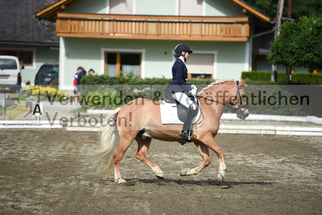 DSC_5008 | equestrian-live-com