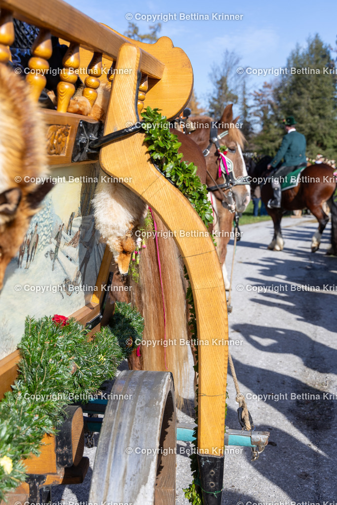 LBT24-1364 | foto-bettina-krinner - Realisiert mit Pictrs.com