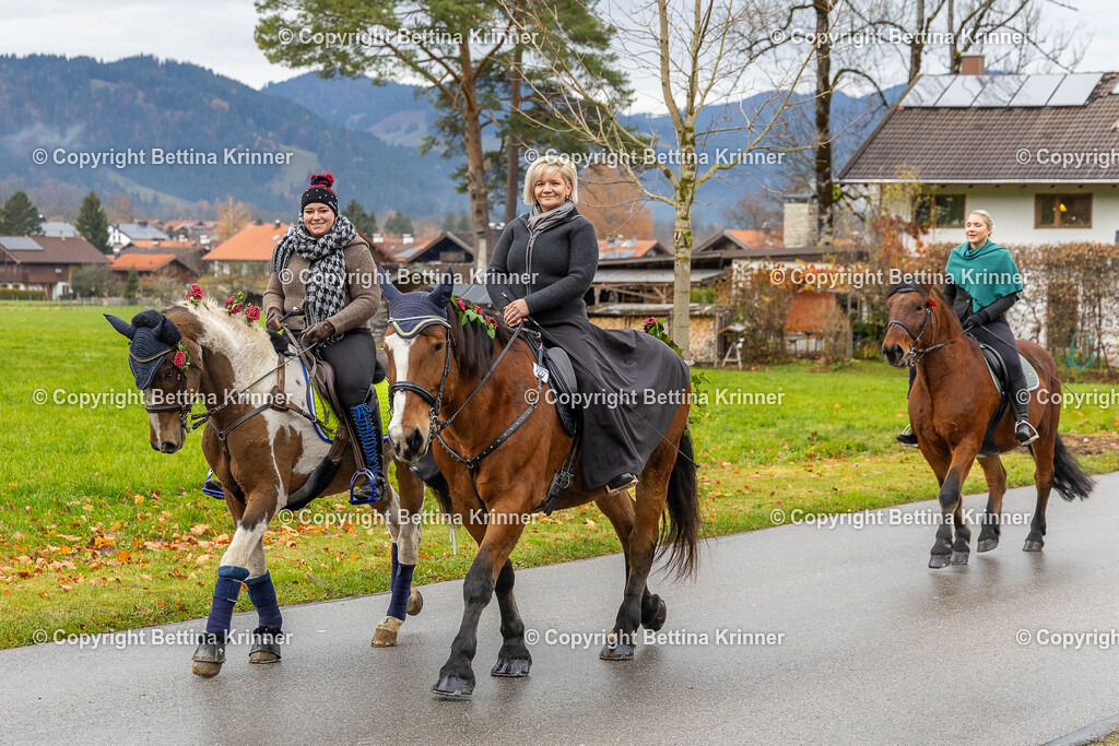 LL25-65 | foto-bettina-krinner - Realisiert mit Pictrs.com