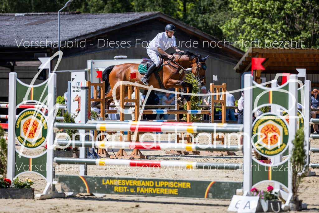 Donop24-L-Spr-016 | MomenTaufnahmen Pferdesportfotos