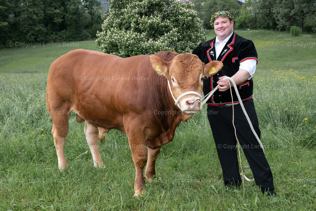 Schwingen -  Zürcher Kantonal 2023 | Zürich Allmend, 14.5.23, Schwingen - Zürcher Kantonal.