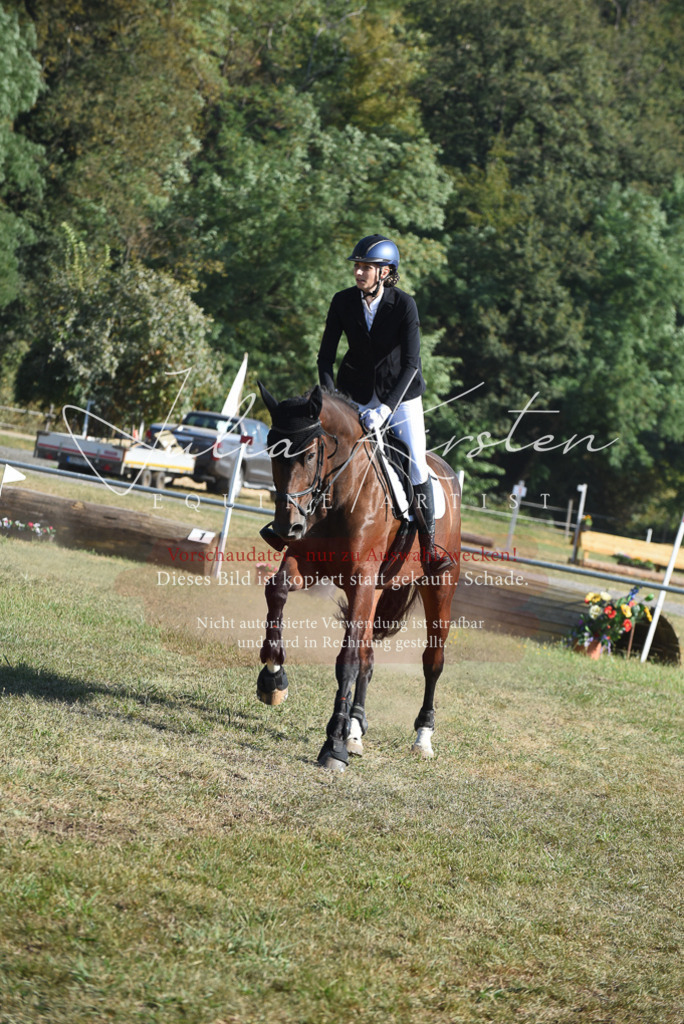 DSC_5409 | Pferde- und Turnierfotografie in Westsachsen. Pferdeportraits, Auftragszeichnungen und intuitive Kunst.