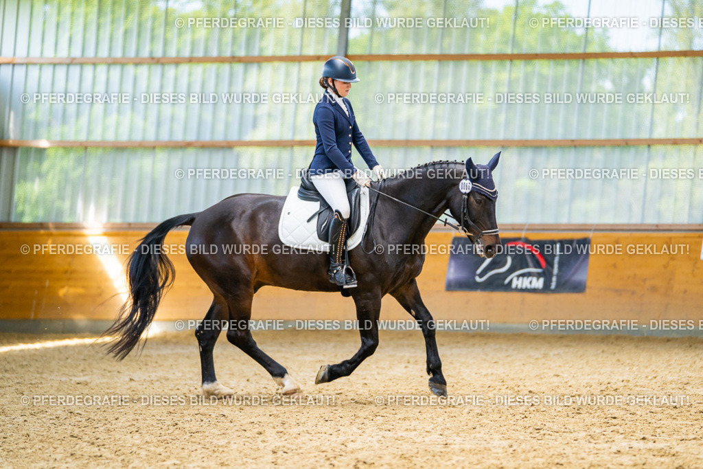 DSC08513 | Pferdegrafie