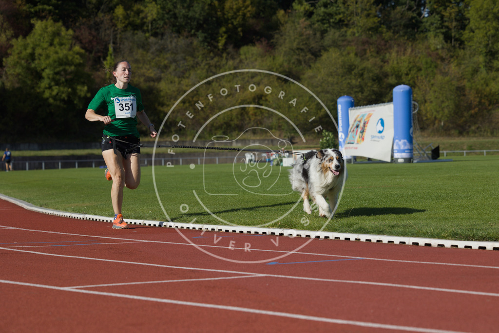 0L8A9712 | Hundefotografie, Tierfotograf, Pfotenfotografie, Fotoshooting Hund, Hunde Portrait, Hundesport, Hundeportraits, Heideshooting, Hunde, Sportfotograf, Hundefotograf, Turnierhundsport, THS,  - Realisiert mit Pictrs.com