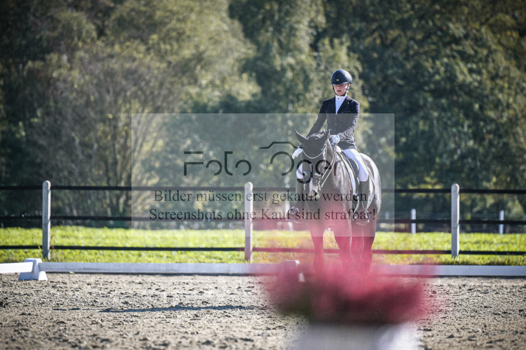 DOS_2543 | Entdecke hochwertige Reitturnierfotos von Foto Oger. Professionell, emotional und authentisch – jetzt Lieblingsmomente im Shop bestellen.Deutschlandweite Turnierfotografie. - Realisiert mit Pictrs.com