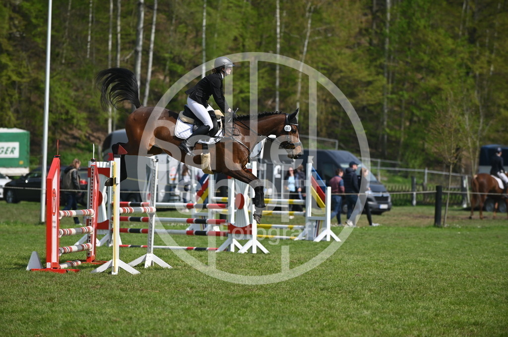 DSC_1217 | sattelsport - Realisiert mit Pictrs.com